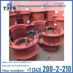 Сальники нажимные серия 5.900-3 в Березниках
